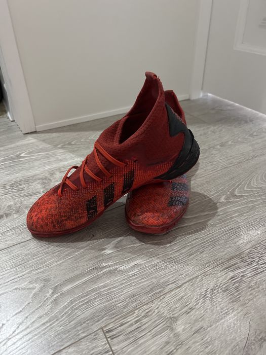 Сороконожки предатор, красные