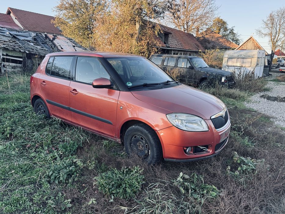 Skoda Fabia 2009 Probleme