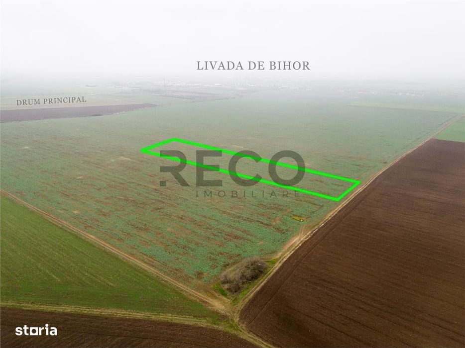 RECO Teren extravilan 5800 mp Livada de Bihor