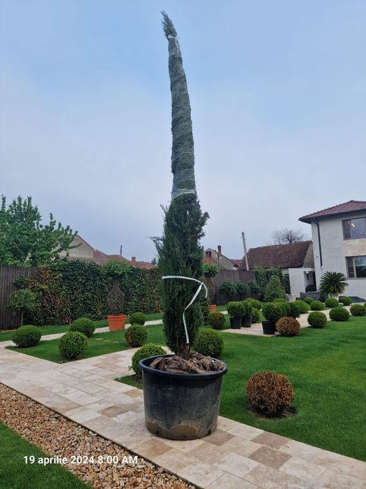 Amenajari gradini Irigatii Gazon