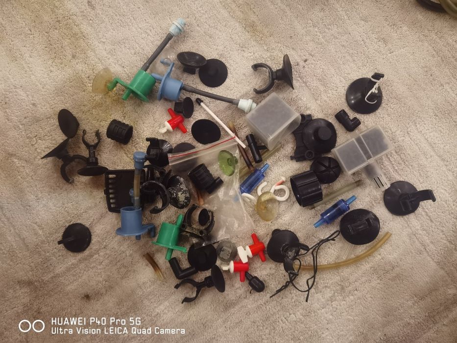 Всичко за аквариум