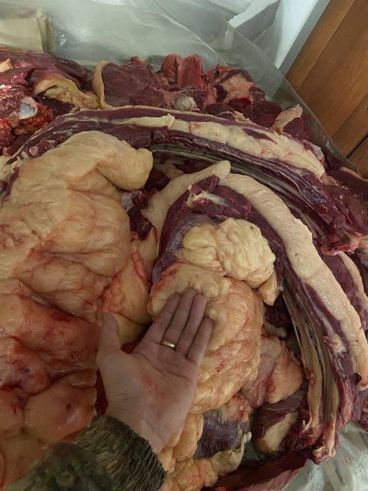 Мясо конины жирное байтал