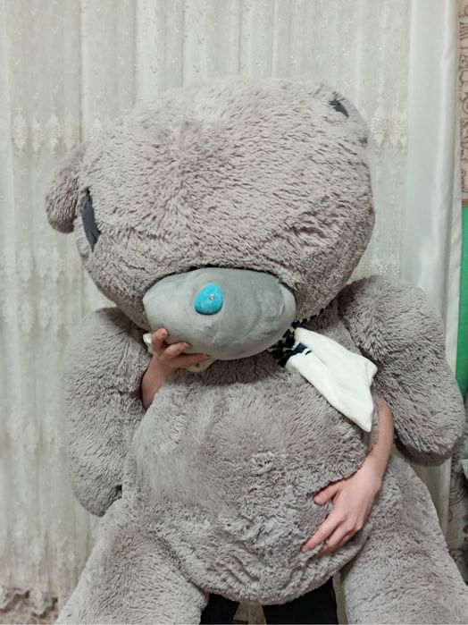 Teddy срочно торг бор