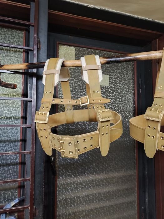 Чанове/ кукерски колани