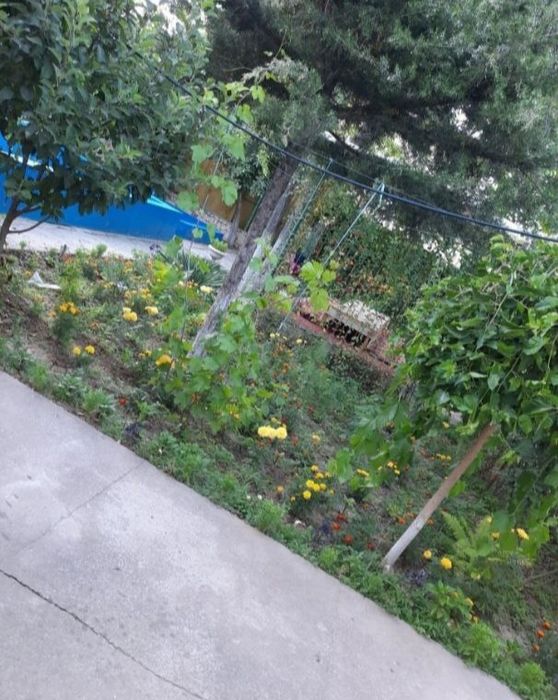 Чарвак ! Продам  свой жилой участок в  1326Чарвак