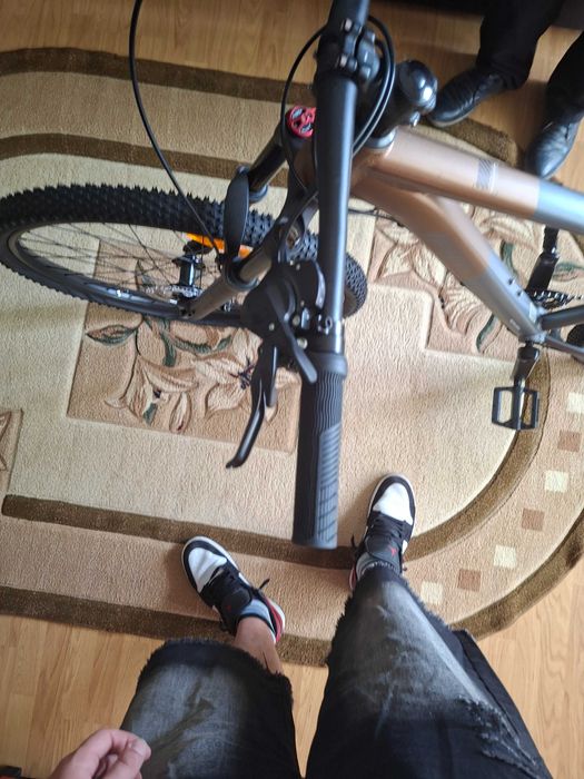 Bicicleta dacia