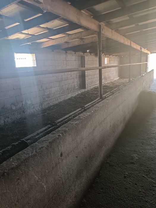 Продаётся фазенда!!!