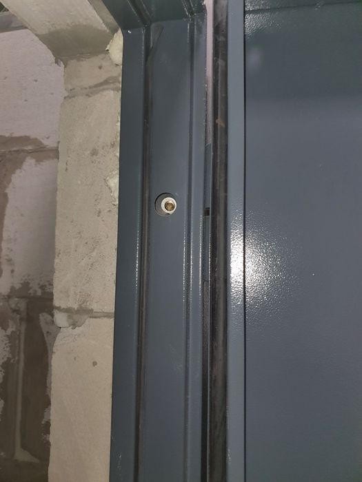 Дверь металлическая