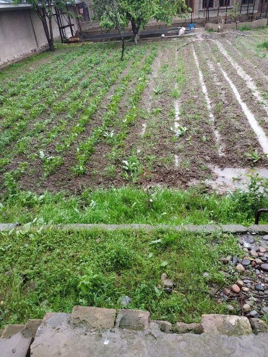 Uy sotiladi. Продаётся дом. 27сотки. Бардамкул.