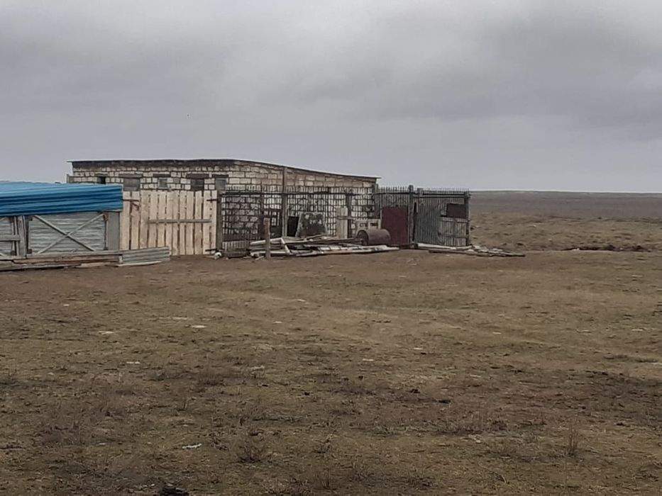 Сельское хозяйство