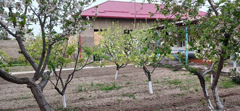 Дом 6 ти комнатная и 6 ти комнатная