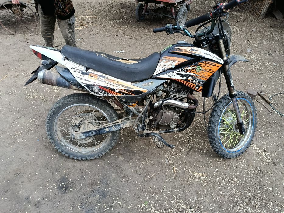 Реисер понтера обмен