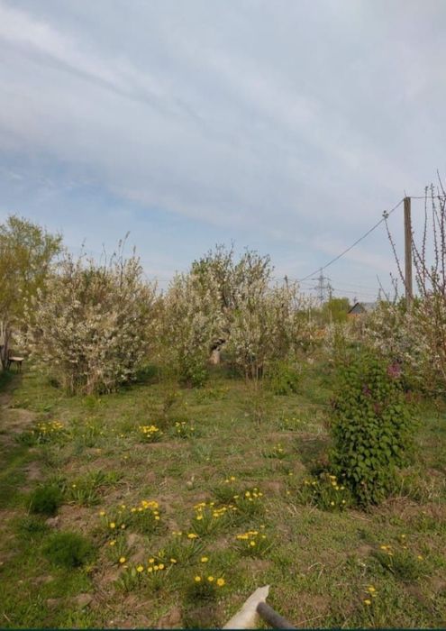 Жер үй сатылады (бөліп төлеу мүмкіндігі бар)