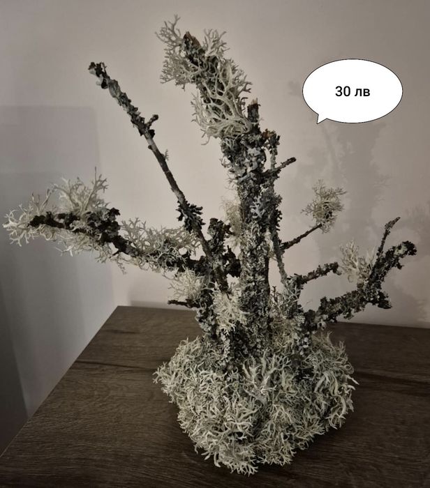 Декорации за подаръци