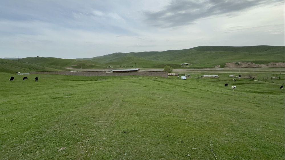 Ferma-kora sotiladi...