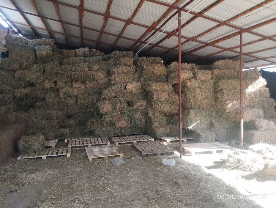 Беда сотилади  .