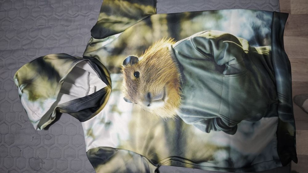 Худи с капибарой