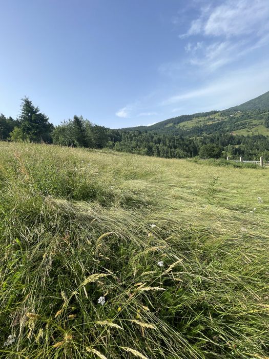 Vand teren + casa veche, suprafata 4000 mp situat langa drum principal
