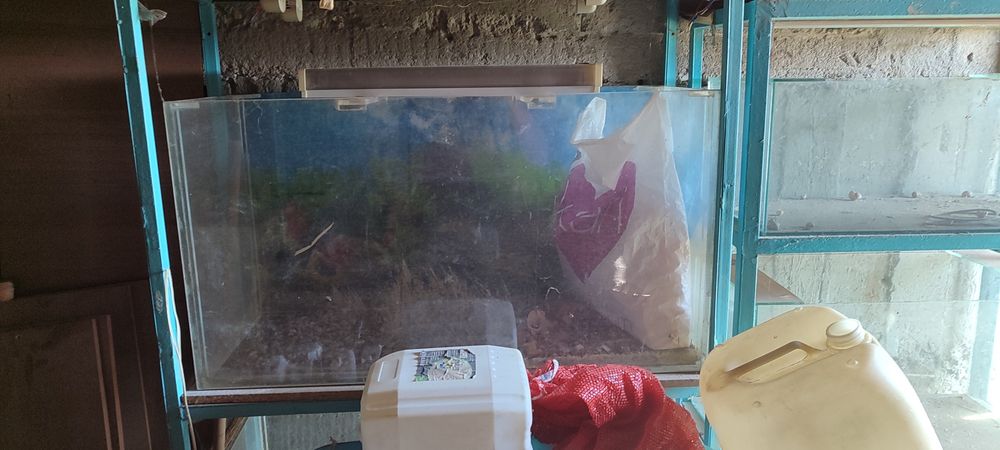 Продам аквариумы