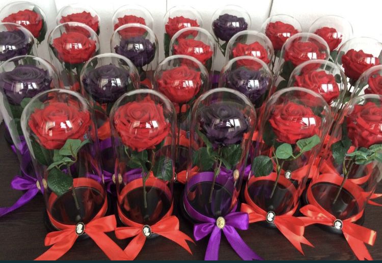 Trandafir rosu in cupola de 17-20-25 cm