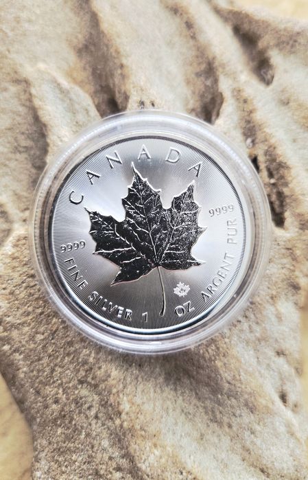 Maple Leaf Canadian 2023 -