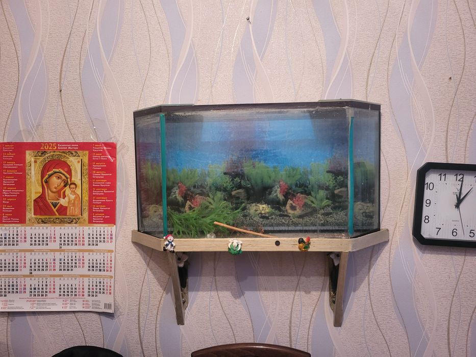 Аквариум бесплатно
