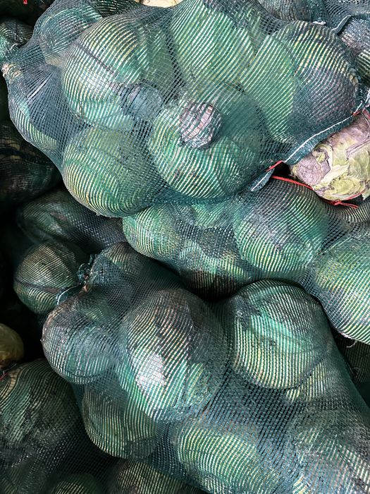 Капуста галанка село Али