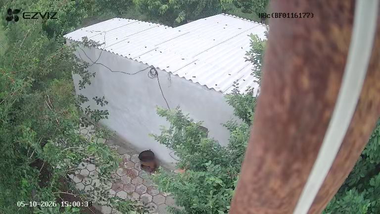 Гилос бог уй молхона свет сув хамма нарсаси бор