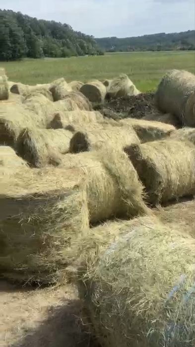 Lucernă ECOLOGICA baloți mari rotunzi 120/120 si 150/120