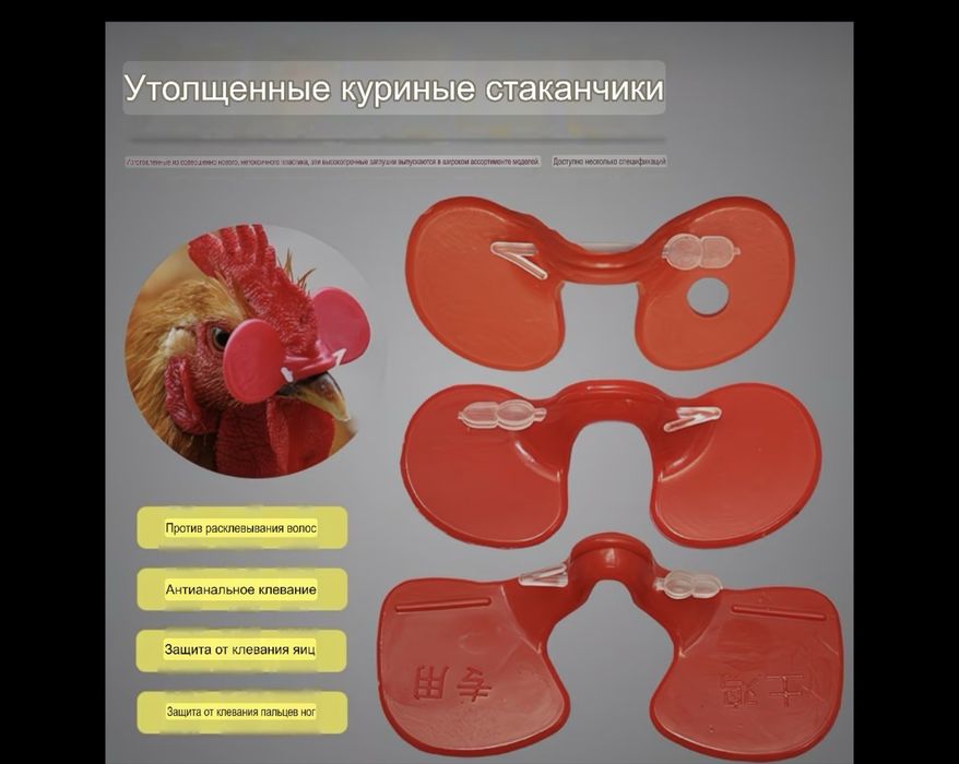 Ұй құстарына керек заттар