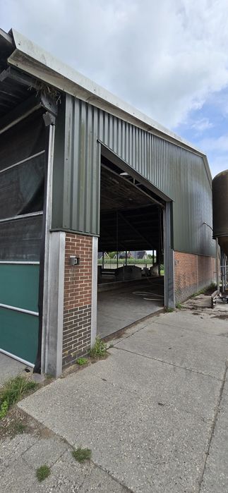 Hala metalica completa grajd vaci 55 /24