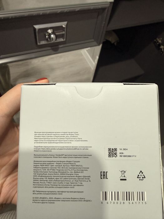 Алиса станция мини