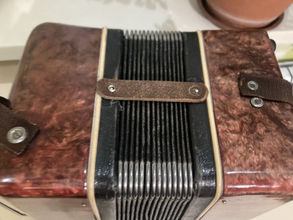 Гармошка «ромашка»