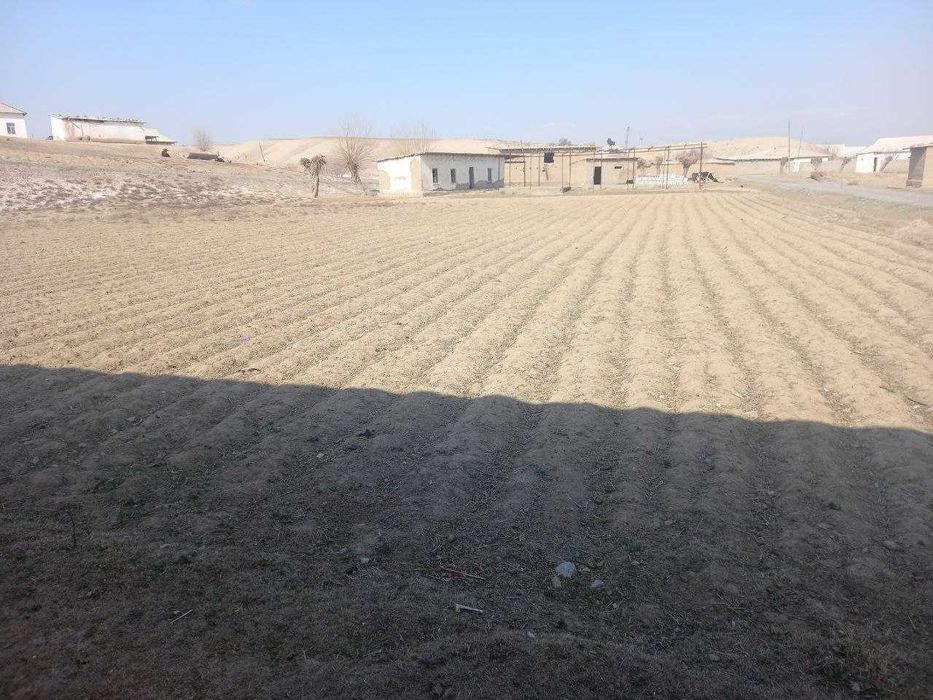 Oqjar qishlog'i Azlarsoy maxallasida 12 sotix yer sotiladi.