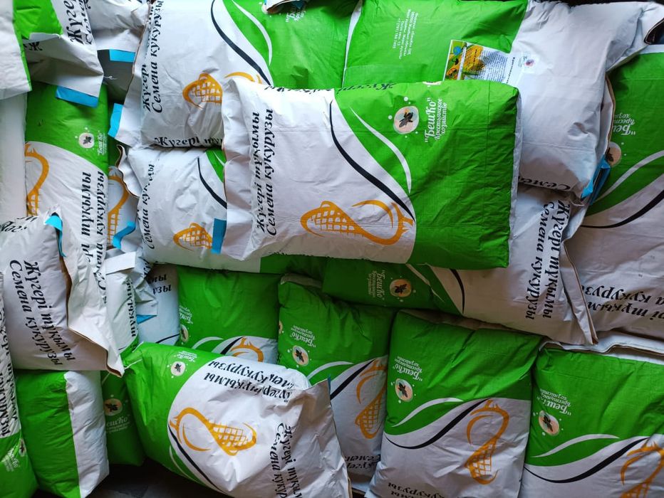 Жүгері тұқымы Семенов кукурузы