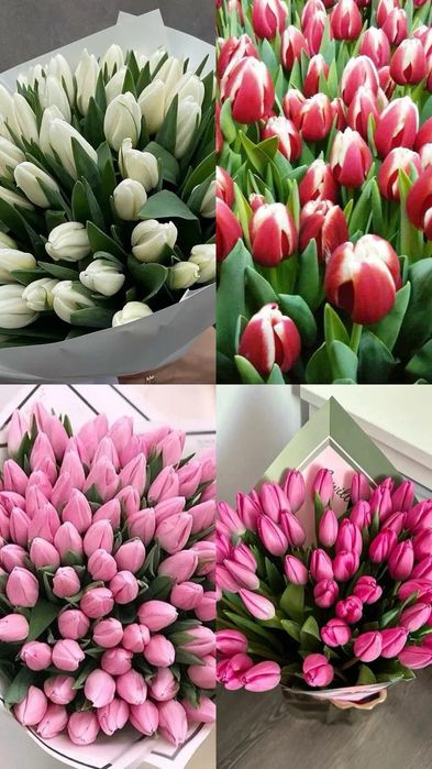 Тюльпан букеты гүлдер