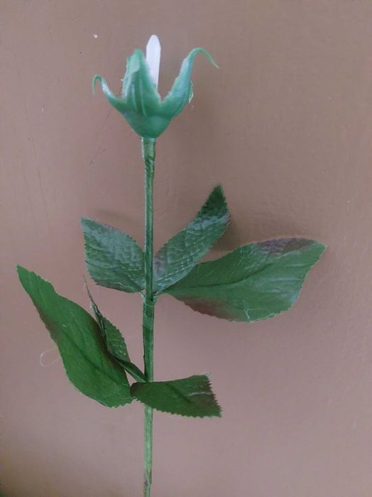 Продам стебли тюльпанов и роз