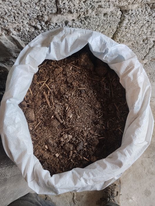 Mol gungi bor kimga kerak busa 10000 dan qopi