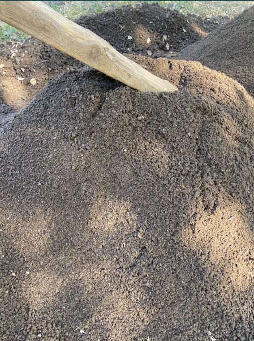 Gomus sotiladi tozza