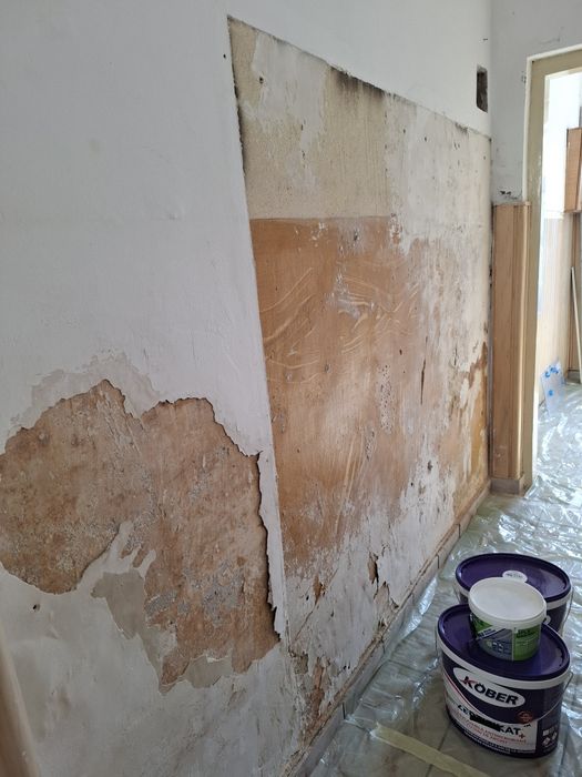 Zugrav rapid si serios