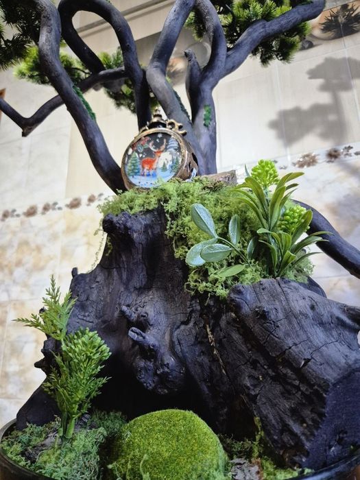 Бонсай ручная работа