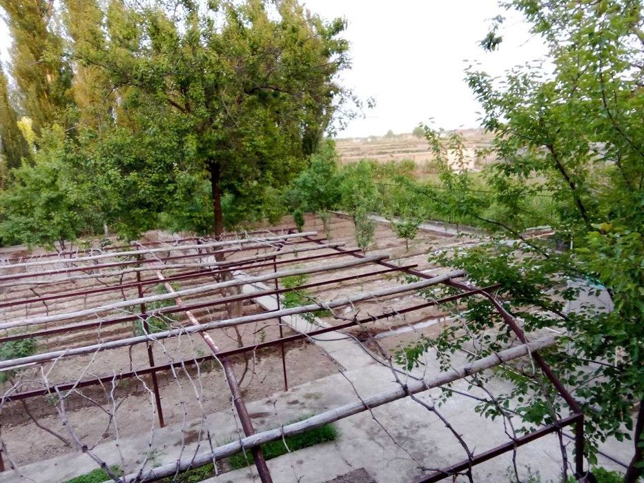 Продается дача 16,5 сотих рядом с Ташкентом