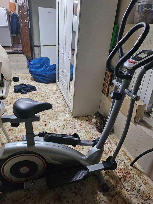 Тренажёр два в одном