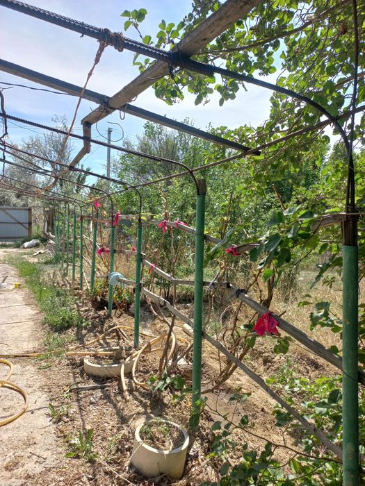 Срочно дача продается 12 соток