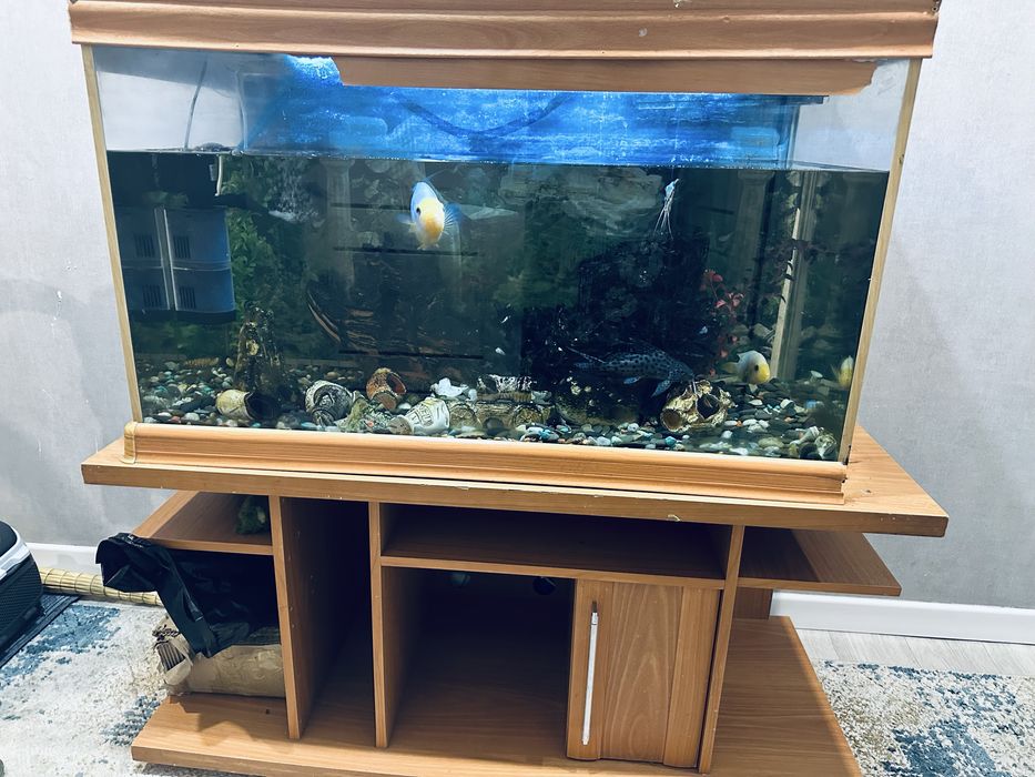 продаю аквариум 250литр