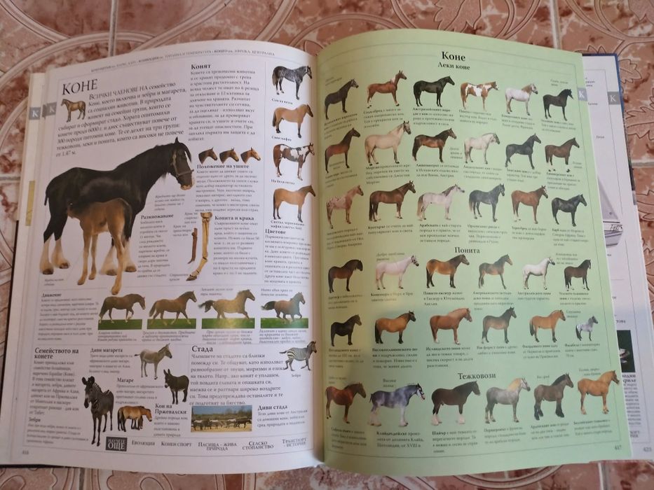 Интересна илюстрована семейна енциклопедия