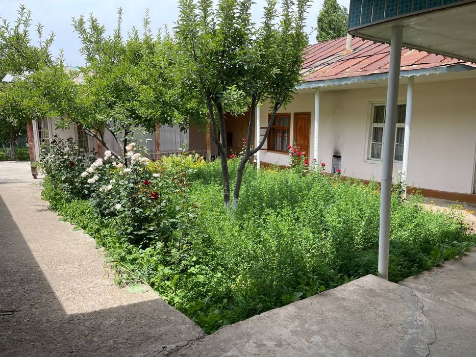 Дом в горах с участком - свежий воздух, Богистон