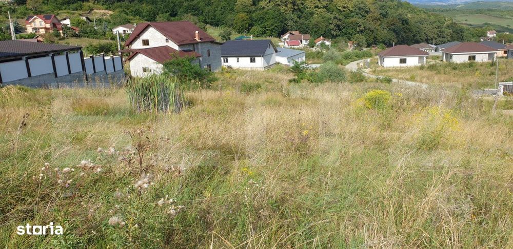 Teren de 785 mp, zona Dealul Jelnei