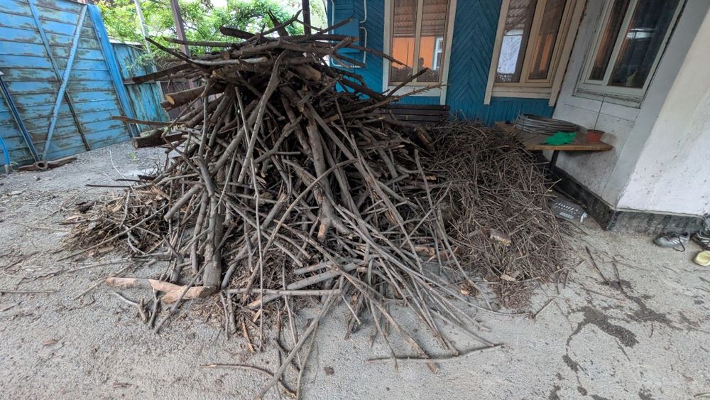 Дрова бесплатно.