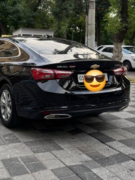 Malibu 2 Premier